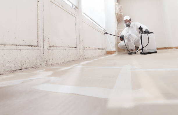 24/7 Emergency Attic Mold Removal experts in Rockwood, TN